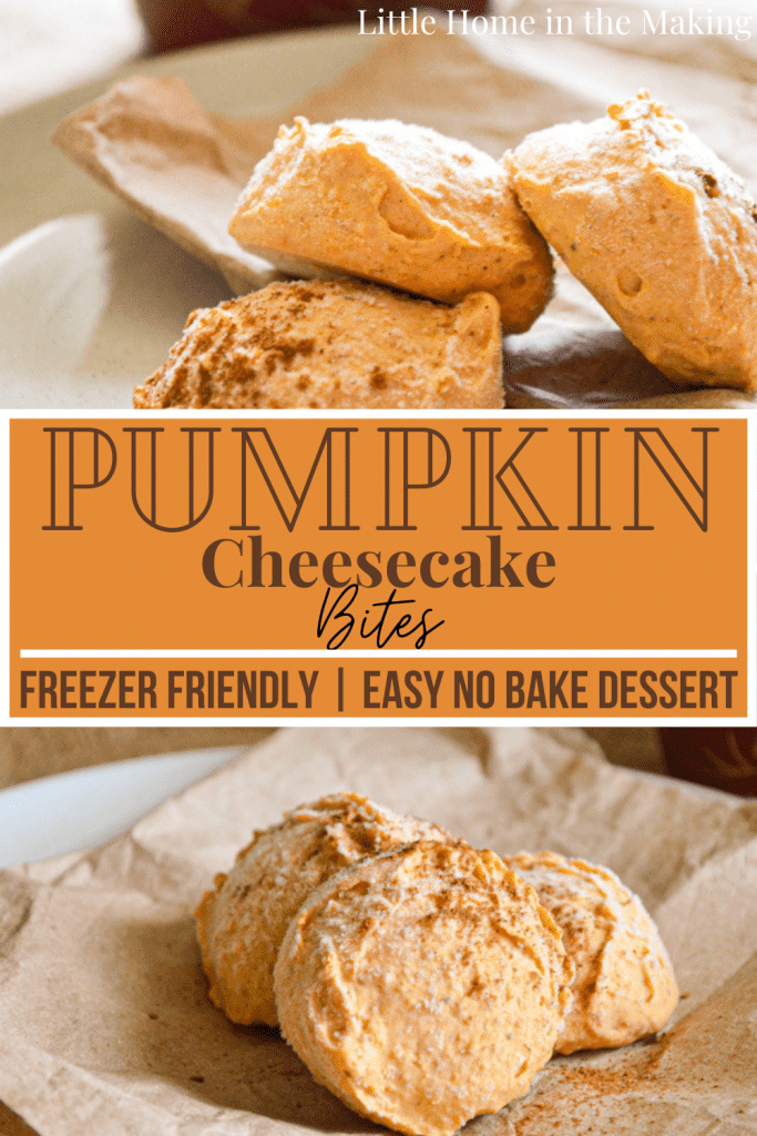 You just have to love how easy this no bake dessert is! Canned pumpkin, pumpkin spice, and cream cheese all combine to make a delicious Pumpkin Pie Cheesecake Bite! These are freezer friendly and so easy to whip up. 